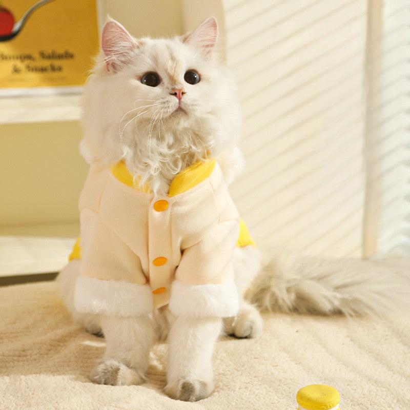 Cute white cat wearing warm yellow and white autumn-winter clothes.