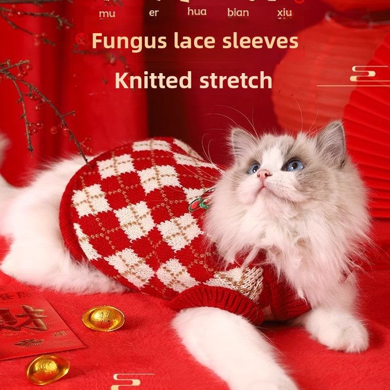 Cat wearing New Year sweater with fungus lace sleeves and knitted stretch style.