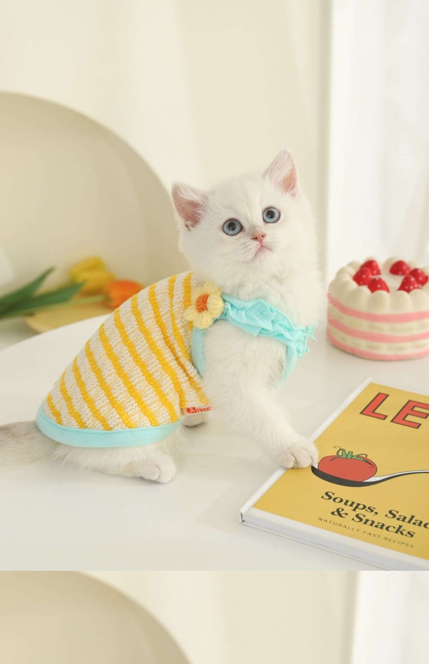 Cute kitten wearing a yellow and blue summer vest, perfect for anti-shedding in warmer months.