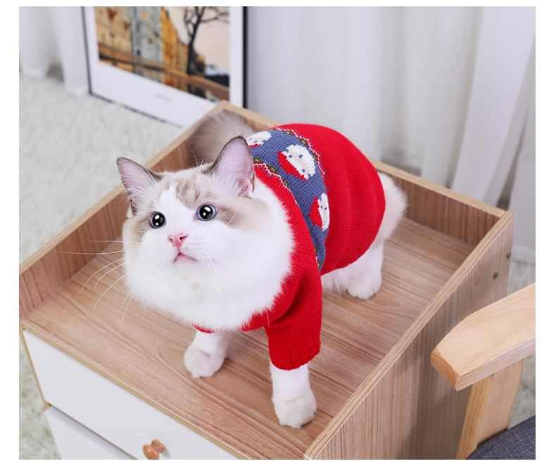 Cat wearing a Christmas sweater in a cozy indoor setting.