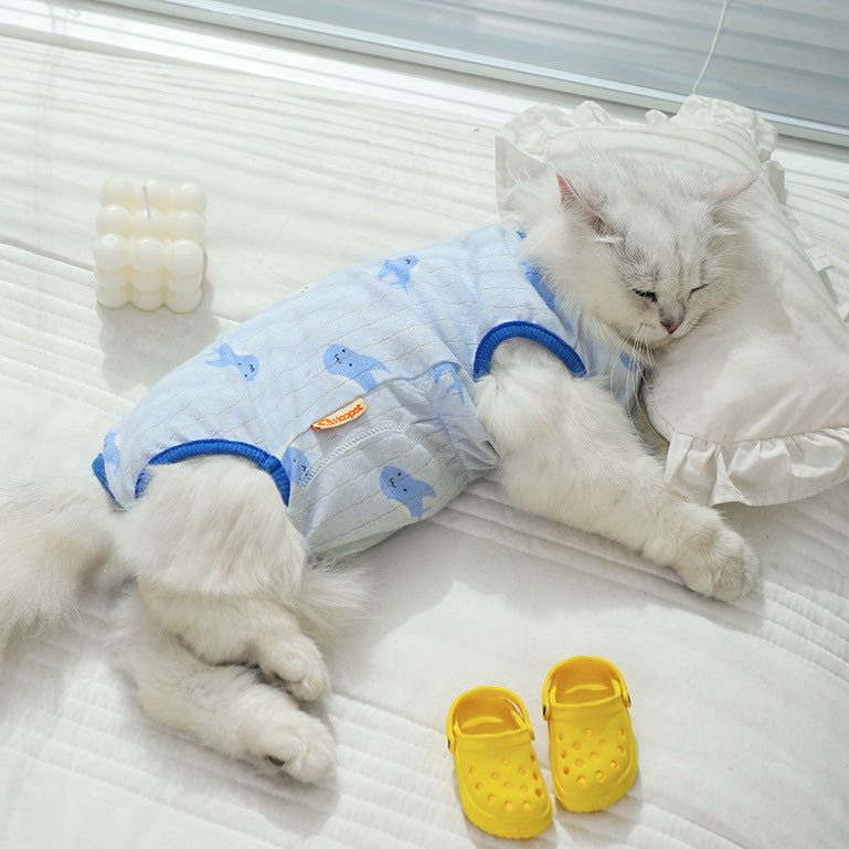 Cat wearing anti hair shedding clothes for summer.