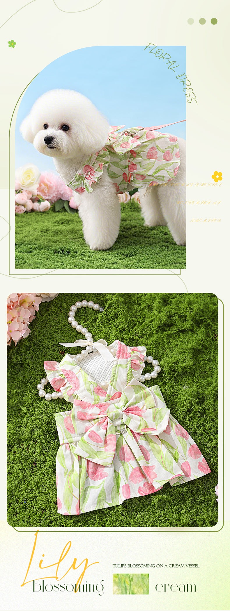 Cute dog wearing a floral cat dress with a leash, displayed on a green grass background.
