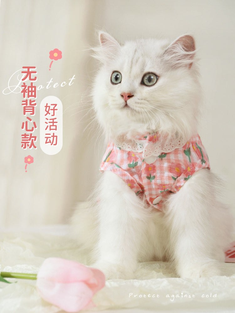 Cute kitten wearing summer thin anti-shedding vest in floral design.