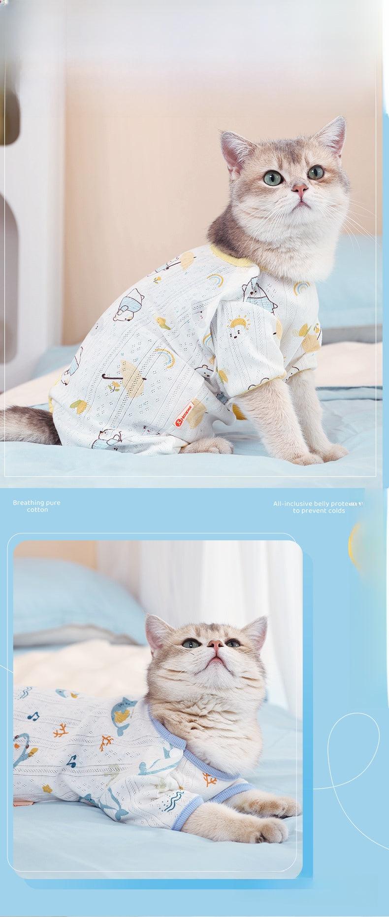 Ragdoll kitten wearing summer anti-shedding breathable suit for air conditioning protection.