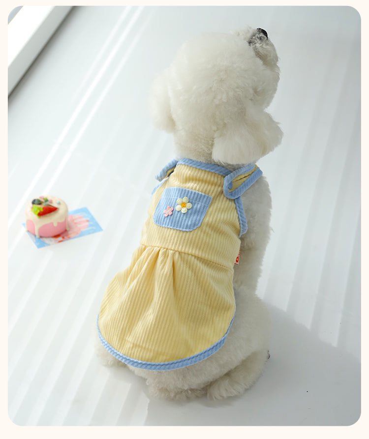 Pet cat summer kitten dress on small white dog, yellow with blue trim and floral accent.