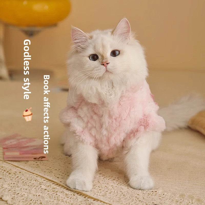Fluffy white cat wearing a pink winter outfit sitting on a rug.