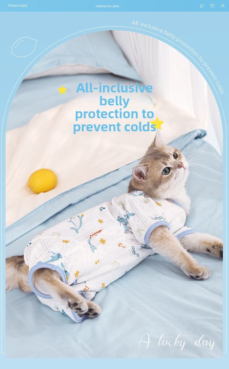 Breathable summer cat clothing with full-cover belly protection for Ragdoll kitten.