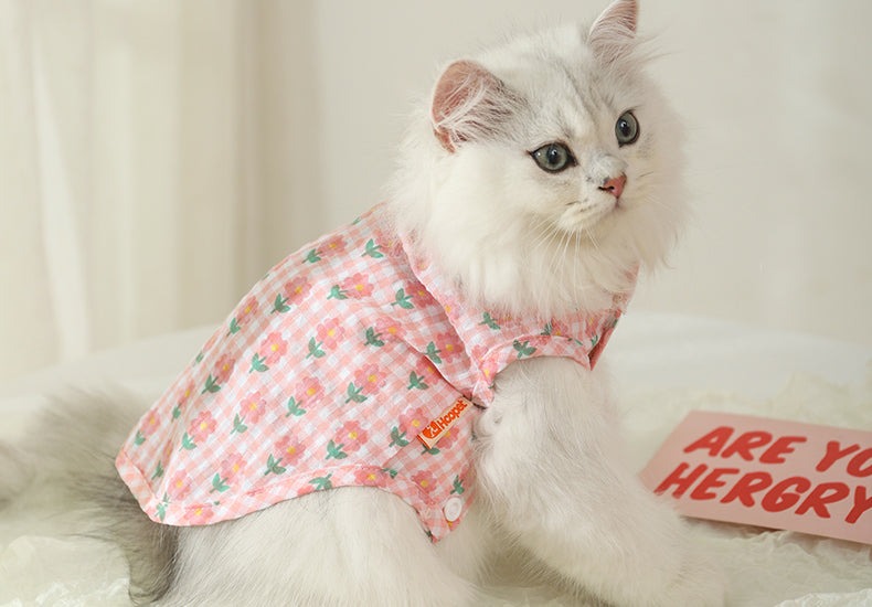 Summer thin anti-shedding vest for kittens, blue cats.