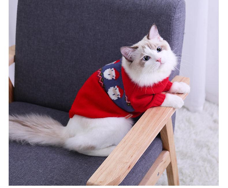 Cat wearing a festive red Christmas sweater on a chair.