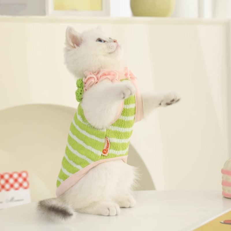 Cute kitten wearing a green striped summer cat vest with pink trim.