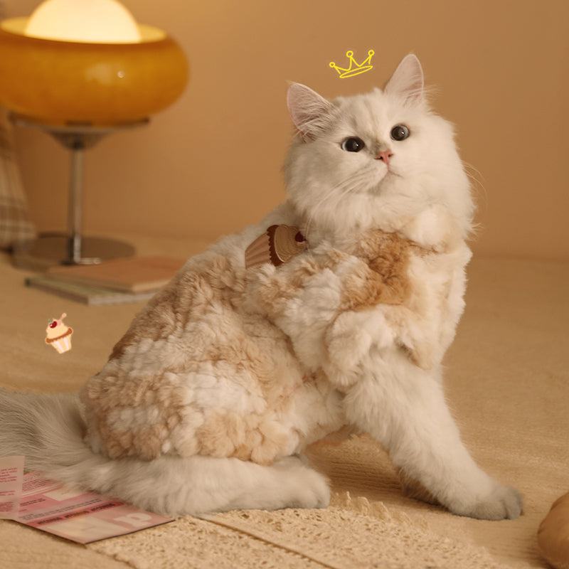 Winter cat clothes for warmth and anti-shedding, ideal for Ragdoll or British Shorthair kittens.