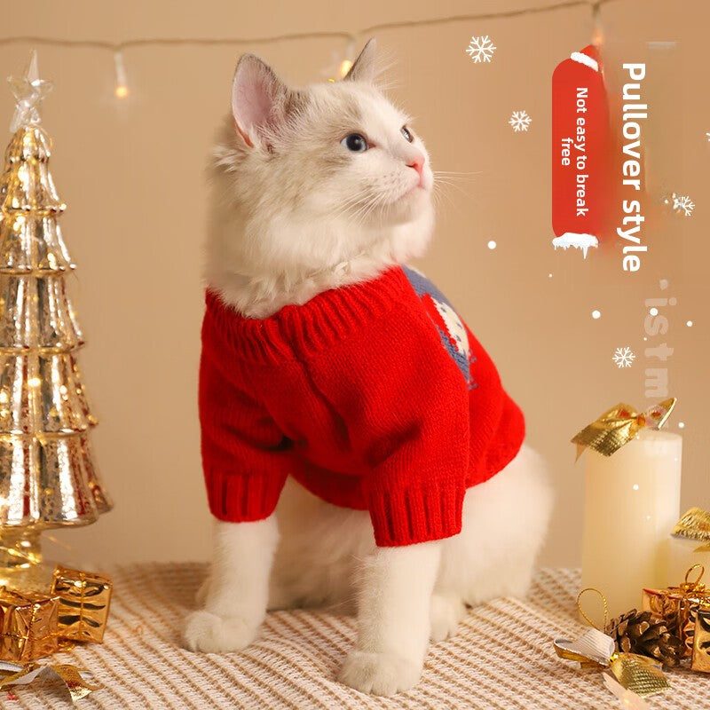 Cat wearing a festive red Christmas sweater, sitting beside holiday decorations.