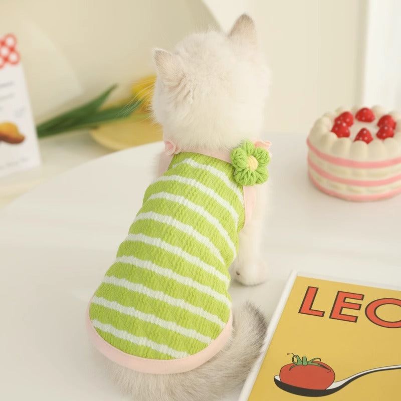 Kitten wearing a green striped vest, part of the Summer Cat Apparel collection.