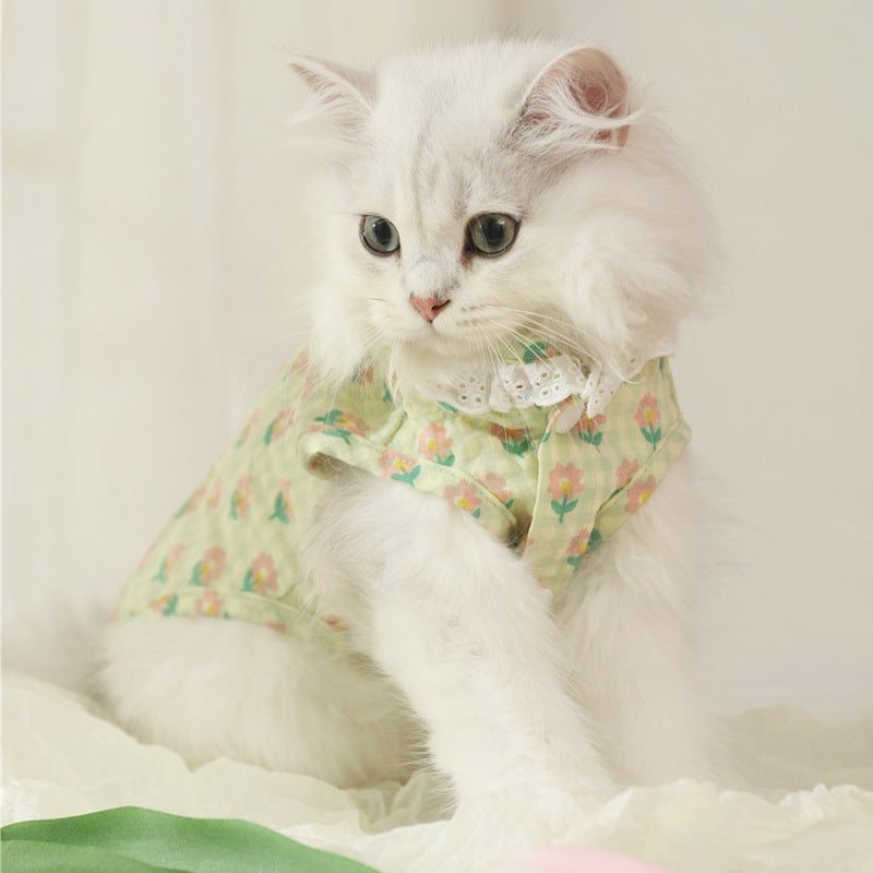 White kitten wearing a colorful anti-shedding vest.