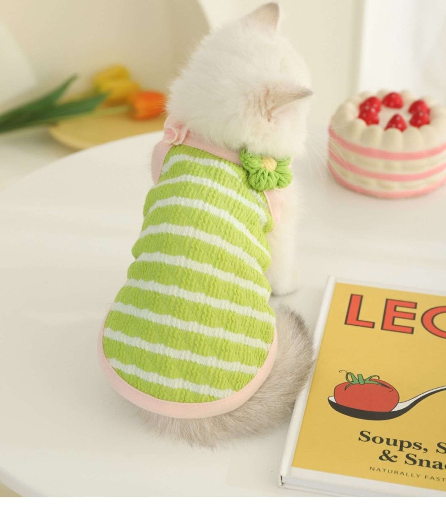 White kitten wearing green and white striped summer cat apparel vest.