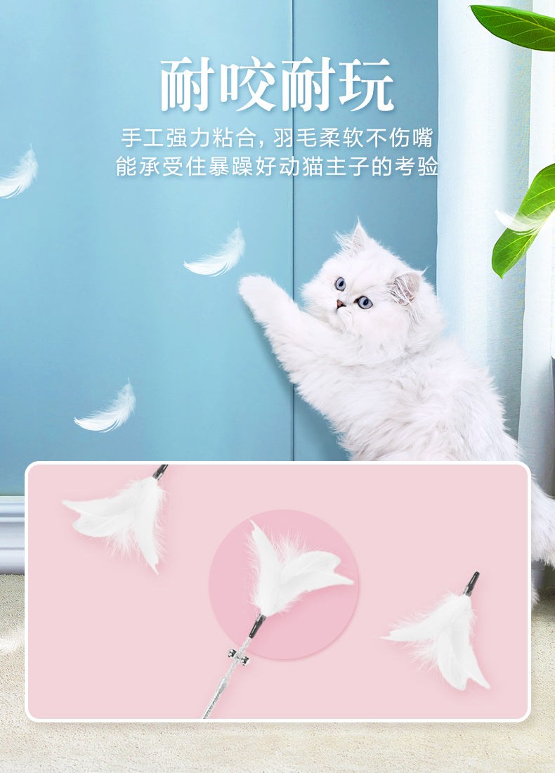Cat playing with feathered teaser wand against blue wall.