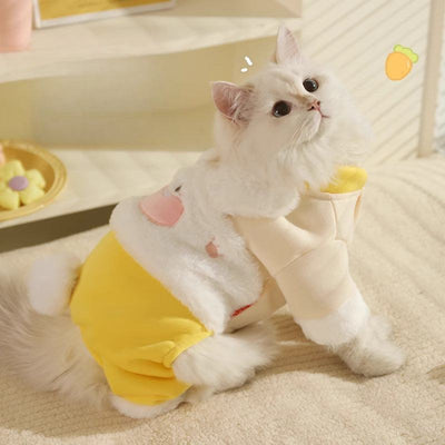 Cute white cat wearing warm, anti-shedding, four-legged autumn-winter pet clothes.