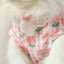 Summer thin anti-shedding vest for kittens with floral pattern.