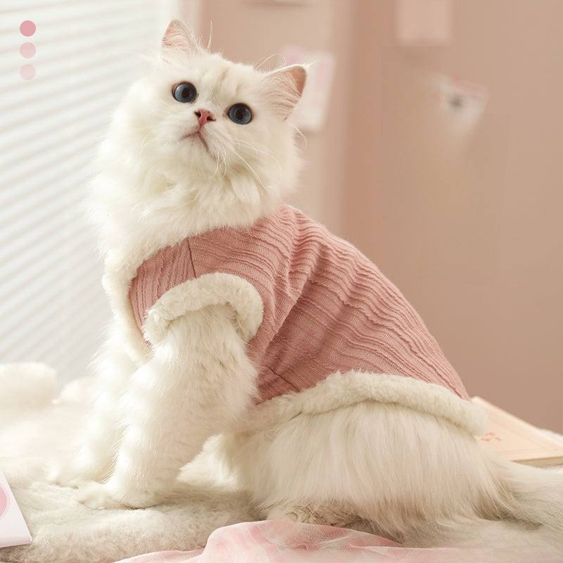Cute white kitten wearing a cozy winter vest, perfect for Ragdoll and small cats, keeping them warm in fall and winter.