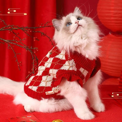 Cat wearing a red and white sweater for New Year.
