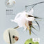 Cat toy with feather teaser on durable steel wire and suction cup base.