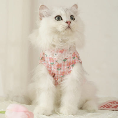 White kitten wearing a pink summer thin anti-shedding vest.