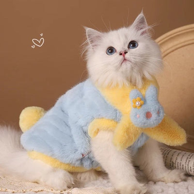 Adorable kitten in a warm blue and yellow winter vest outfit.