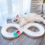 Interactive Cat Toy Set with Spinning Wheel, Teaser Wand, and Exploration Tunnel for Kittens.