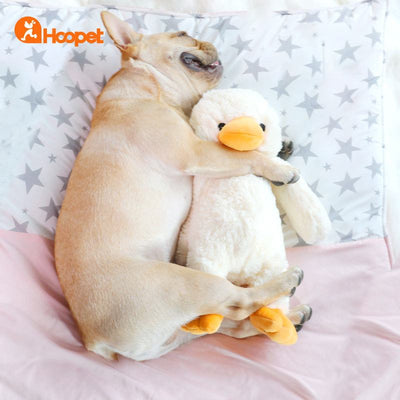 Peluches couinantes à mâcher pour chiens | Vente en gros de fournitures durables pour animaux de compagnie