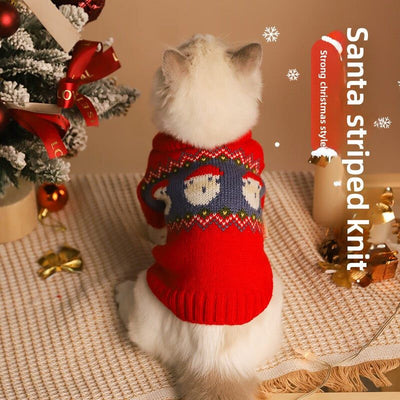 Cat in red Christmas sweater with Santa design, festive pet clothing.