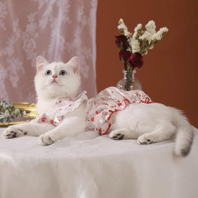 Vintage-style summer dress on a fluffy white cat with floral decor in the background.