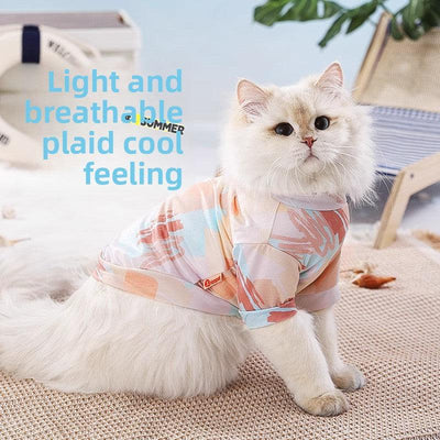 Cat wearing a light, breathable vest for hair loss prevention in summer.