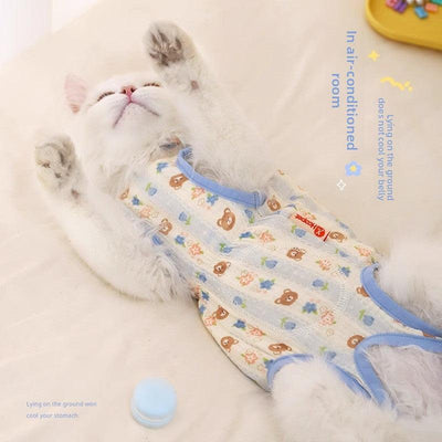 Kitten wearing anti hair loss belly cover, lying on its back.