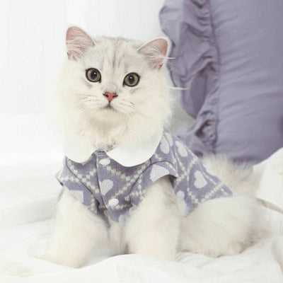 Fluffy white cat wearing anti-shedding summer pet clothes with heart patterns.