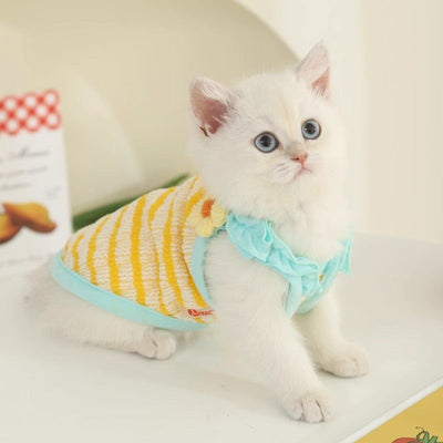 Cute kitten wearing a striped summer vest, showcasing anti-shedding cat apparel.