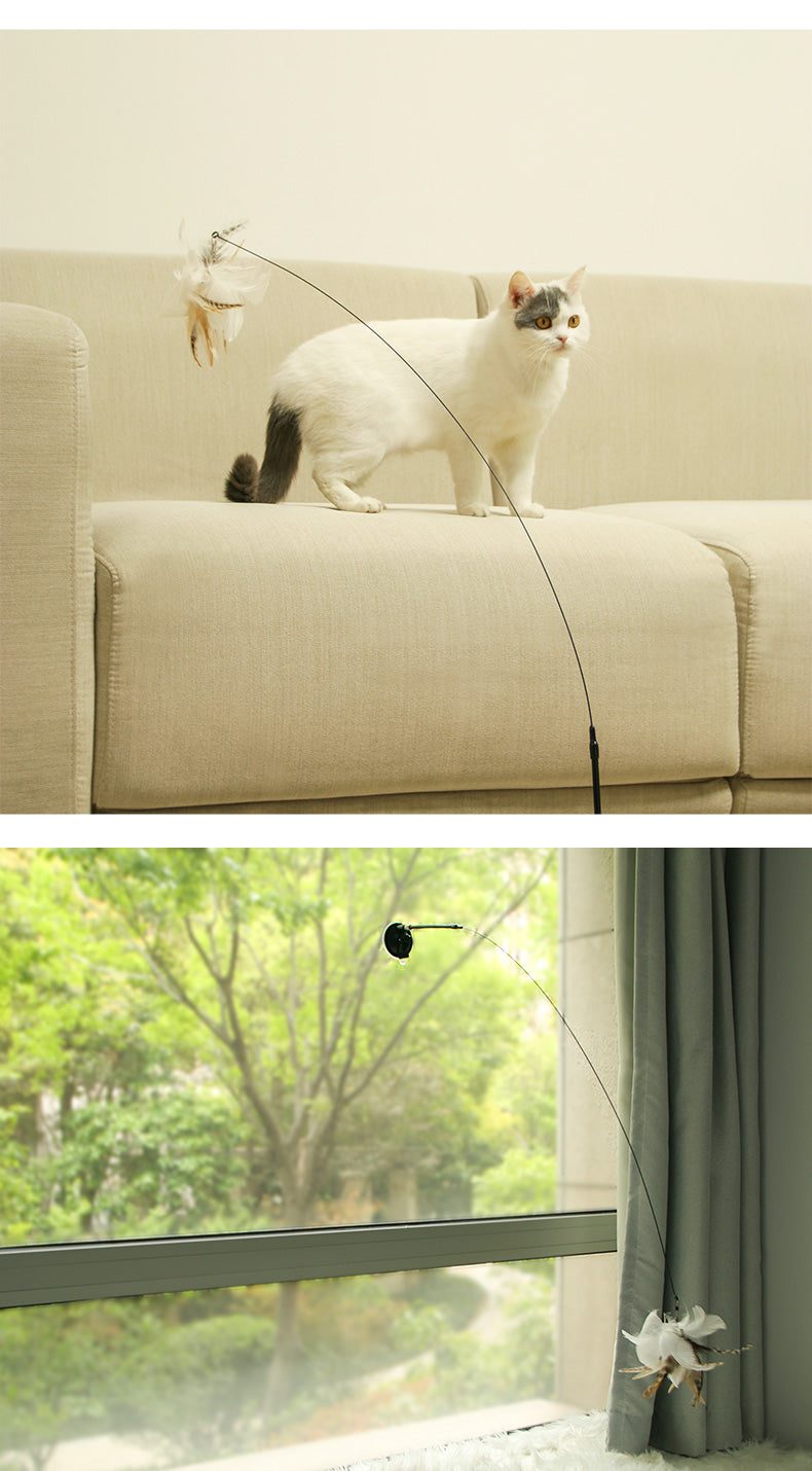 Cat playing with a steel wire teaser toy secured by suction cup.