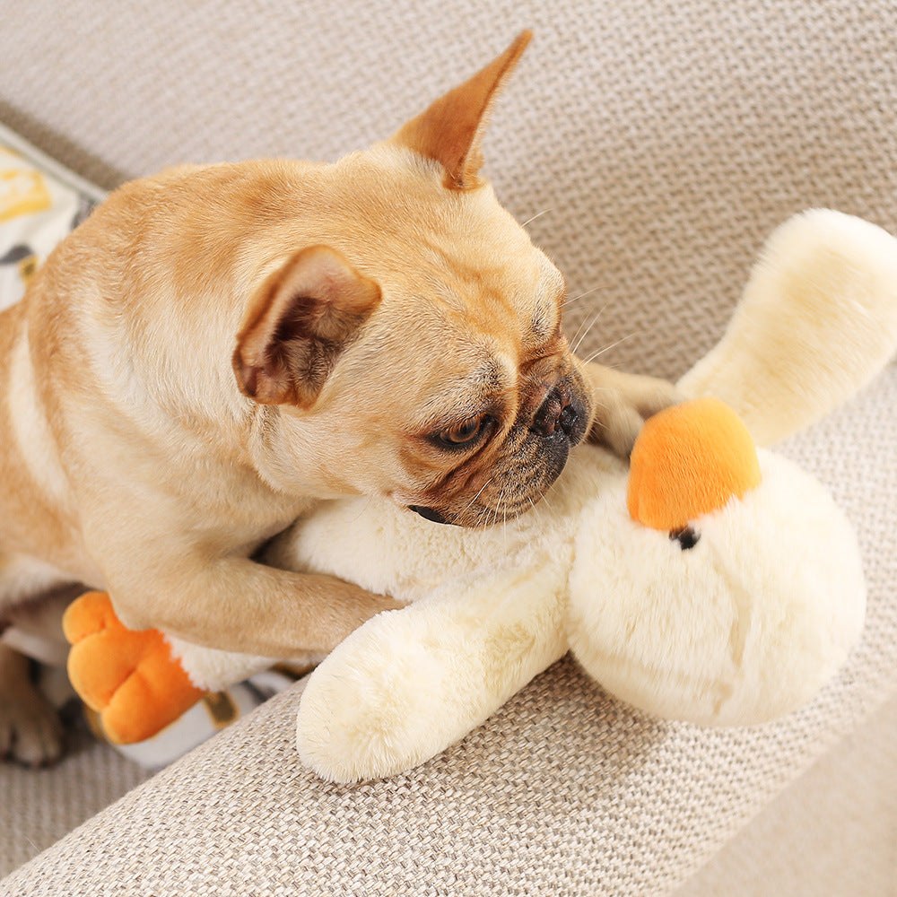 Peluches couinantes à mâcher pour chiens | Vente en gros de fournitures durables pour animaux de compagnie