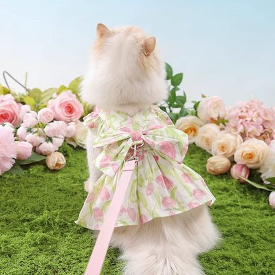Cat wearing a floral dress with attached leash, surrounded by flowers, for pet fashion.