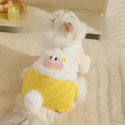 Cat wearing warm, cute, four-legged winter clothes to prevent shedding.