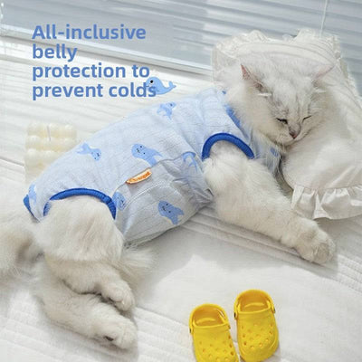Cat wearing anti-shedding summer clothing with belly protection.