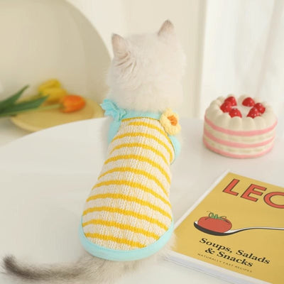 White cat wearing a yellow striped summer vest on a table.