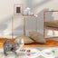 Interactive cat toy set with spinning wheel, teaser wand, and exploration tunnel for kittens.